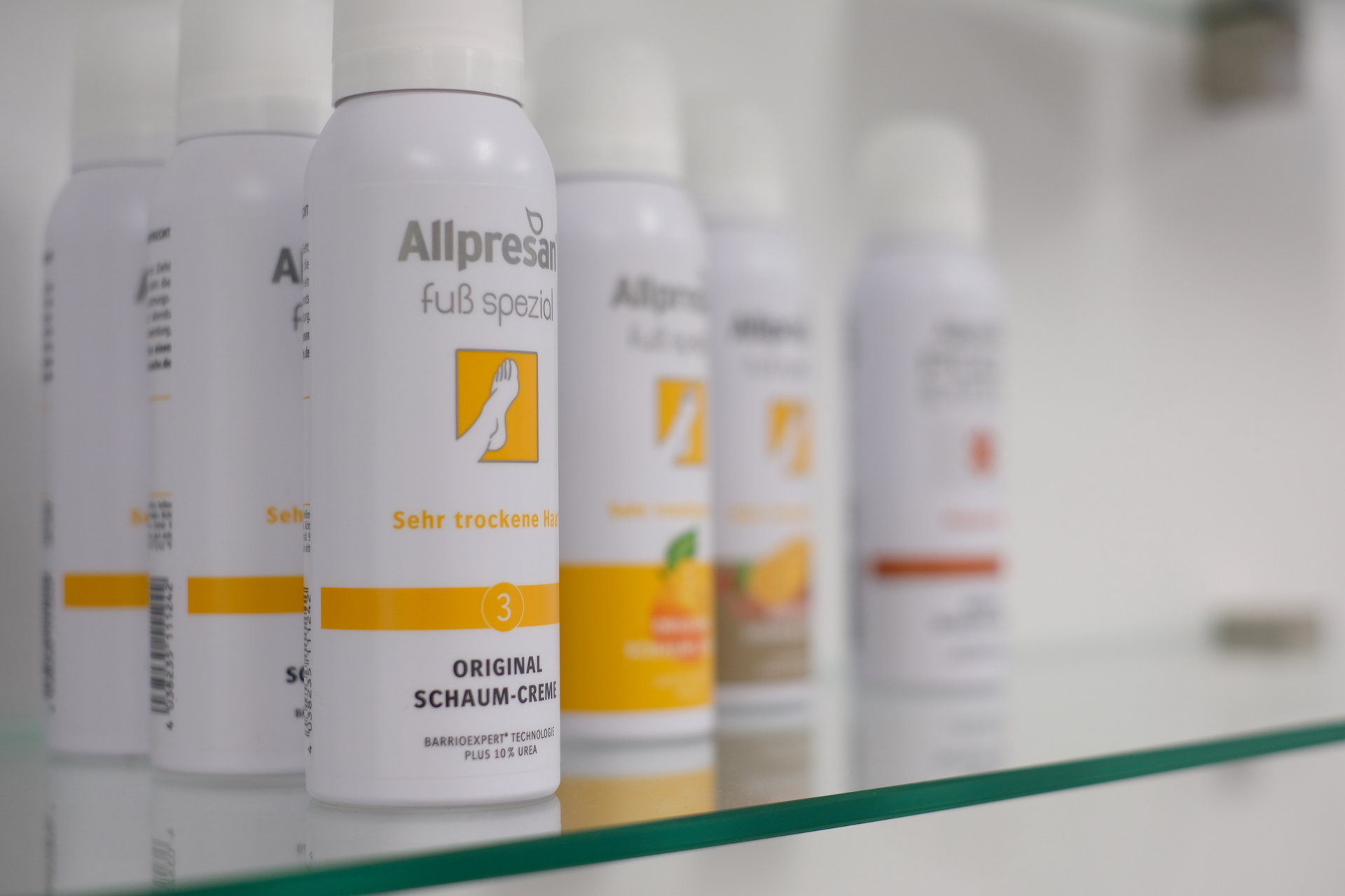 Inhalt konnte nicht geladen werden