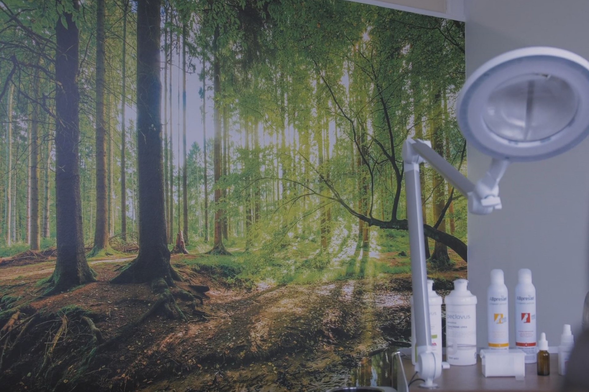 Inhalt konnte nicht geladen werden